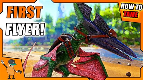 pteranodon dododex|best food for taming pteranodon.